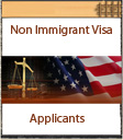 non-immigrant visa application