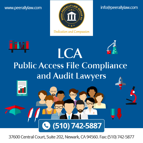 LCA Public Access File Compliance and Audit Lawyers