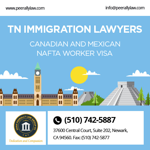 TN Immigration Lawyers