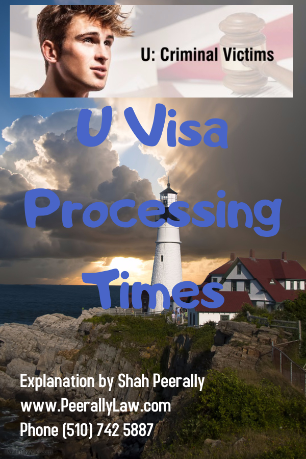 visa processing time visa processing time